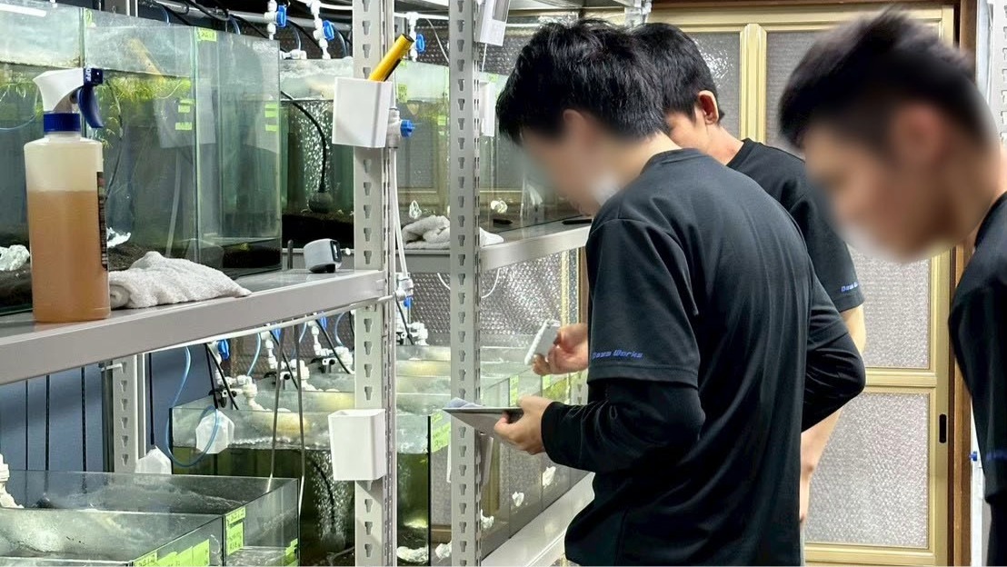Daysワークス 作業風景